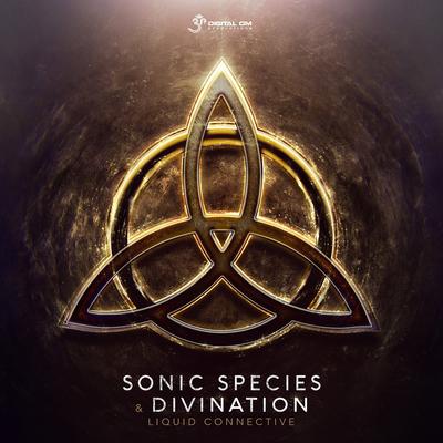 Liquid Connective By Sonic Species, Divination's cover