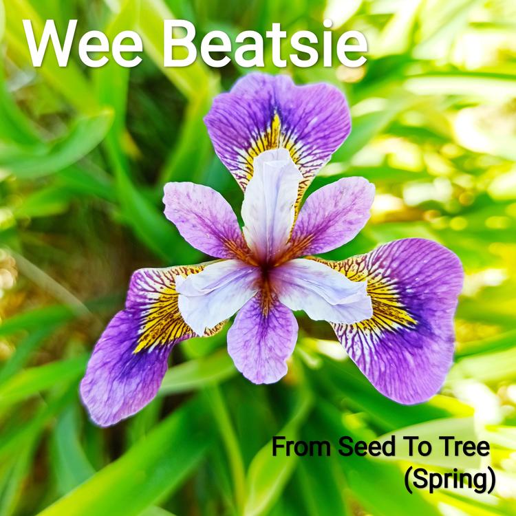 Wee Beatsie's avatar image