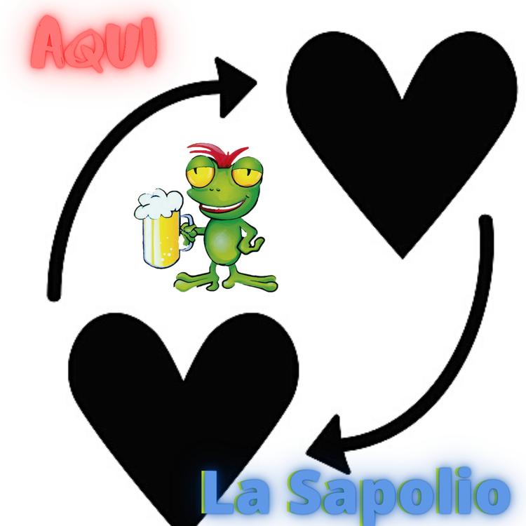 La Sapolio's avatar image