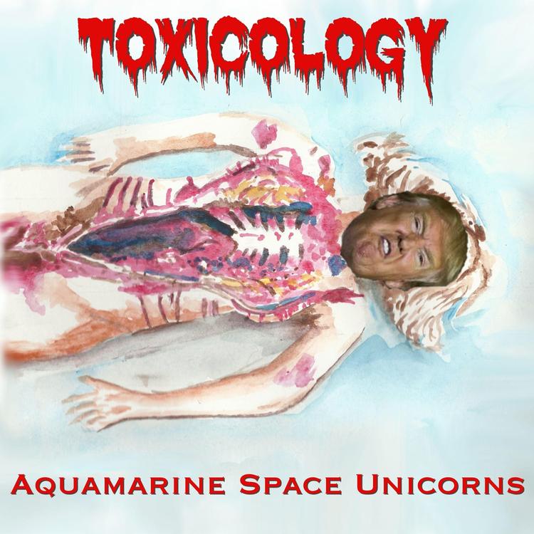 Aquamarine Space Unicorns's avatar image