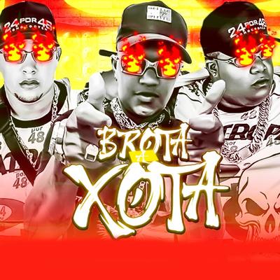 Brota a Xota By Shevchenko e Elloco, Mc Sapinha's cover