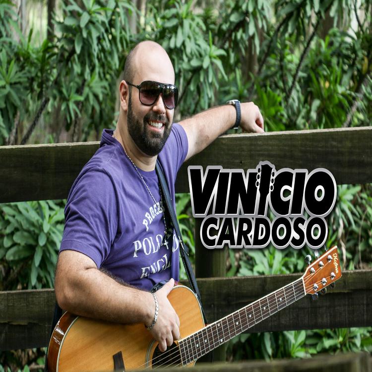 Vinício Cardoso's avatar image