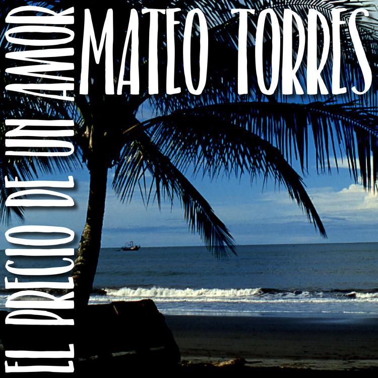 Mateo Torres's avatar image