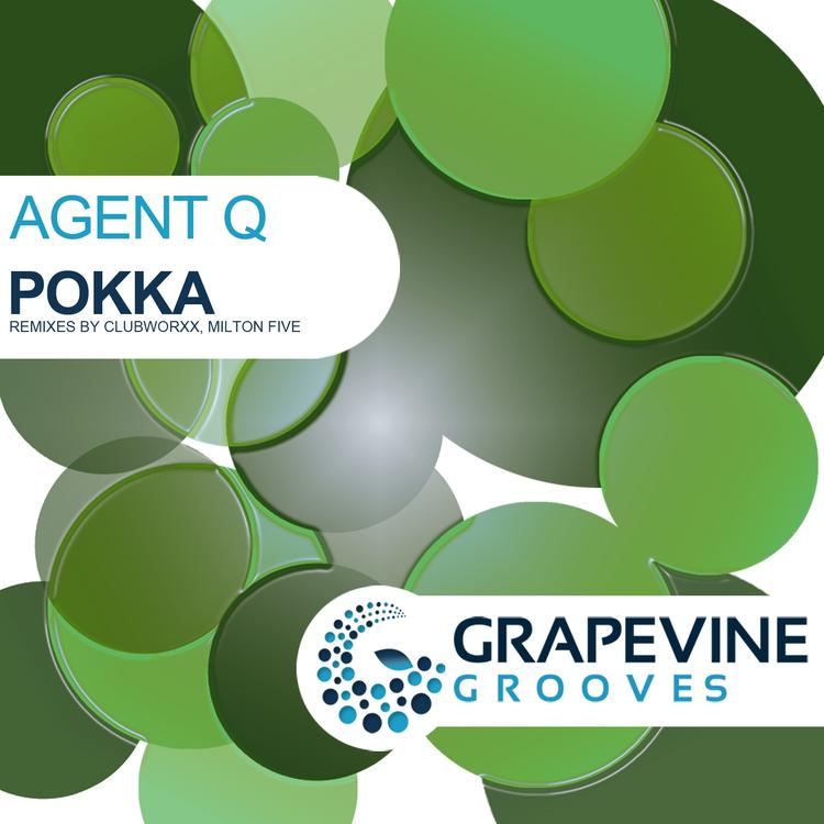 Agent Q's avatar image