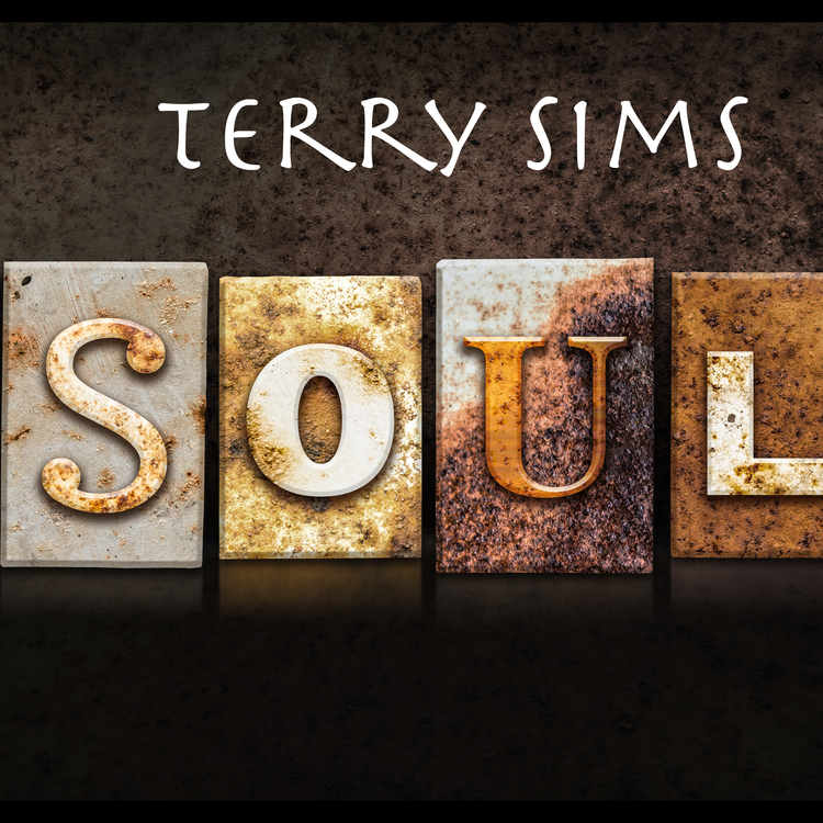 Terry Sims's avatar image