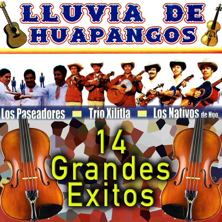 Lluvia de Huapangos's avatar image