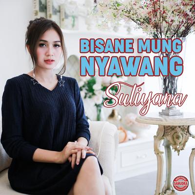 Bisane Mung Nyawang's cover