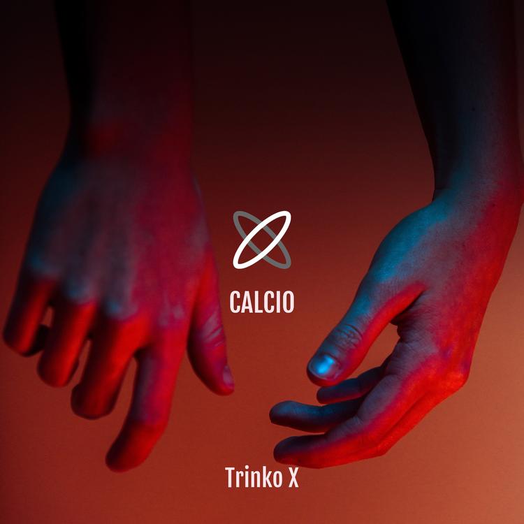 Trinko X's avatar image