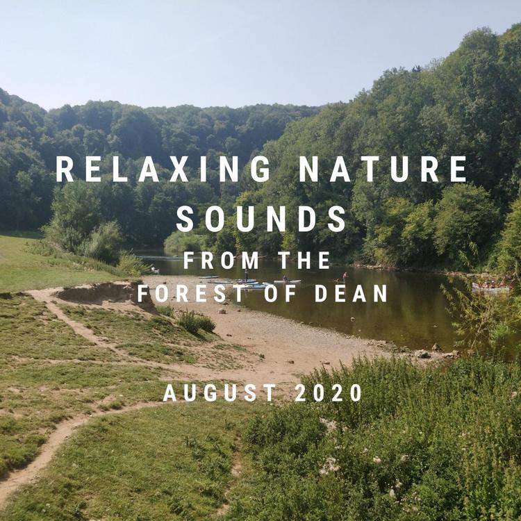Forest of Dean Nature Sounds for Relaxation's avatar image