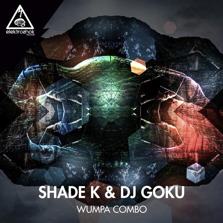 Shade K & Dj Goku's avatar image