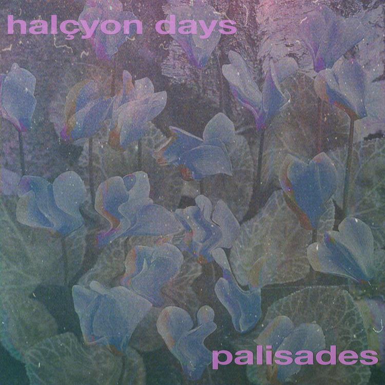 halçyon days's avatar image