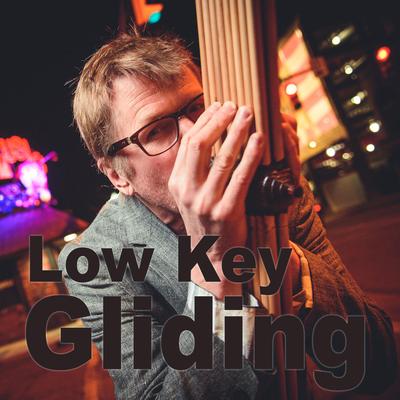 Low Key Gliding By Hal Walker's cover