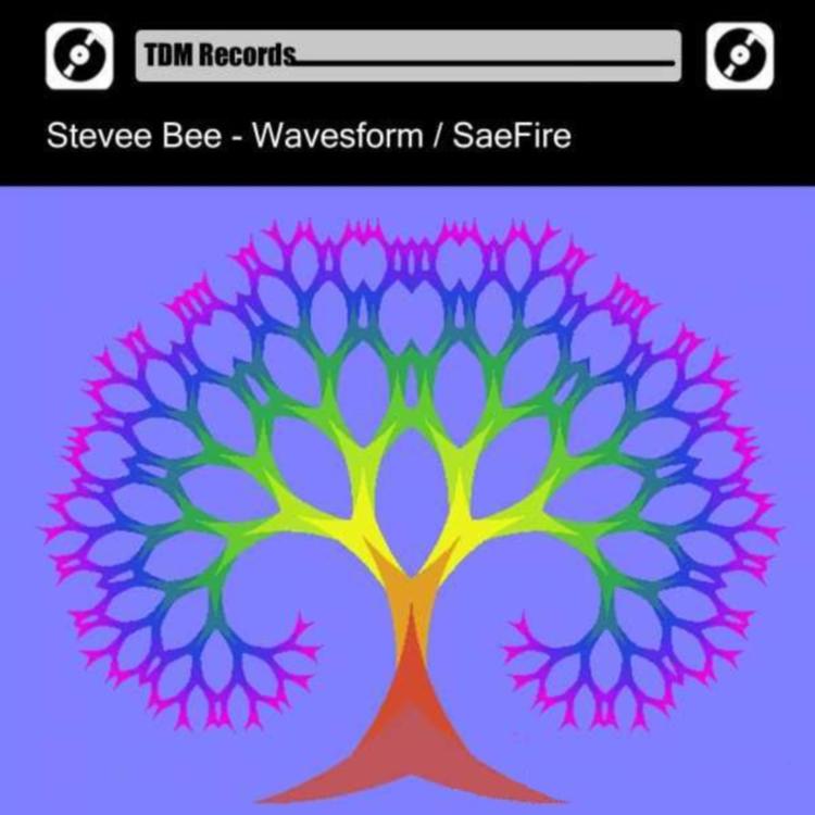 Stevee Bee's avatar image