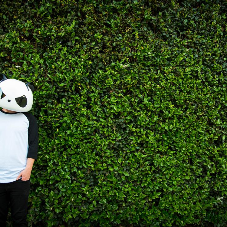 White Panda's avatar image