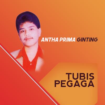 Tubis Pegaga's cover