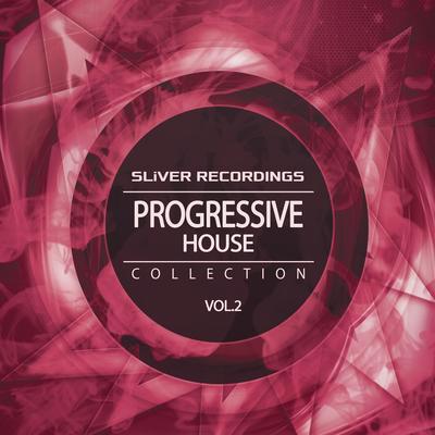 SLiVER Recordings: Progressive House Collection, Vol.2's cover