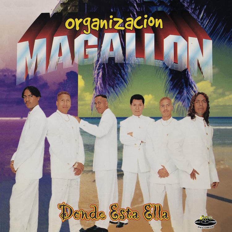 Organización Magallón's avatar image