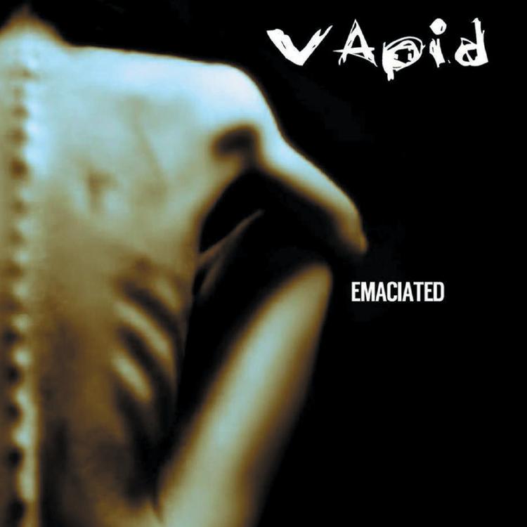 Vapid's avatar image