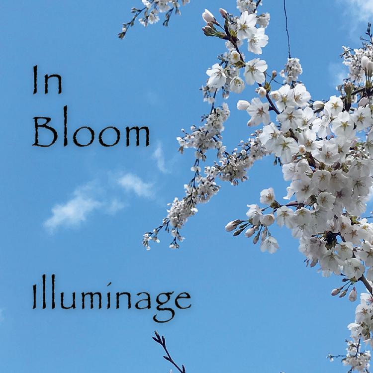 Illuminage's avatar image