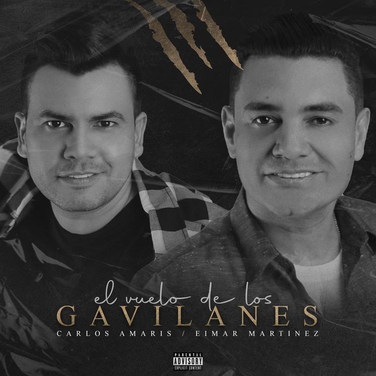 Carlos Amaris & Eimar Martínez's avatar image