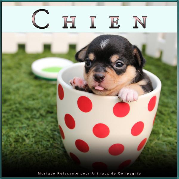 Musique pour Chiens's avatar image