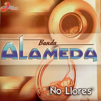 Pa Que Son las Pasiones By Banda Alameda's cover