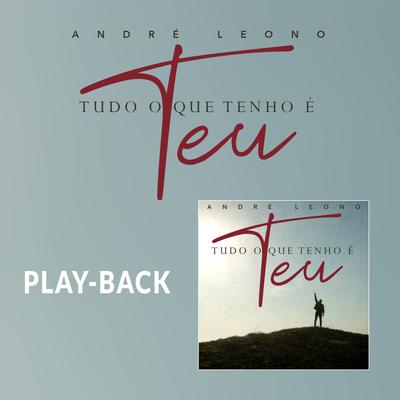 Tudo o Que Tenho é Teu (Playback)'s cover