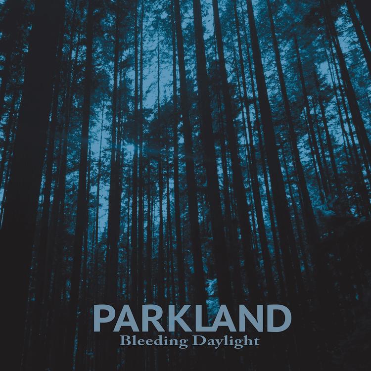 Parkland Music Project's avatar image