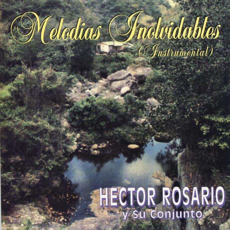 Héctor Rosario y Su Conjunto's avatar image