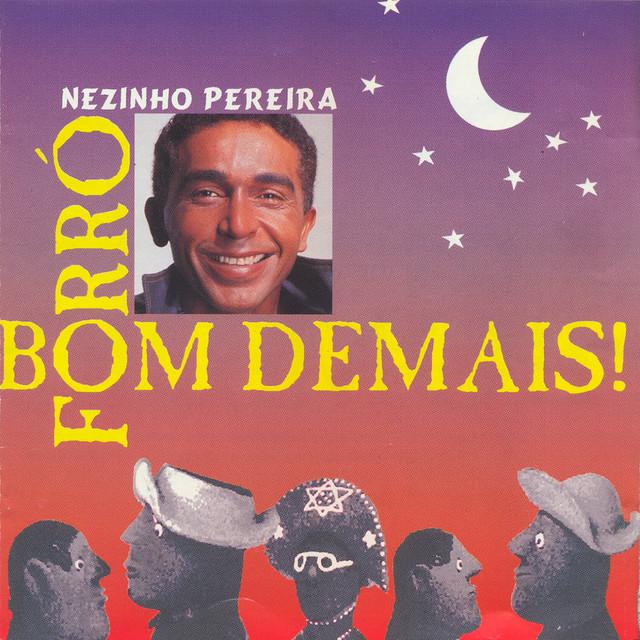 Nezinho Pereira's avatar image