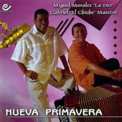 Ayudame A Olvidarla By Miguel Morales's cover