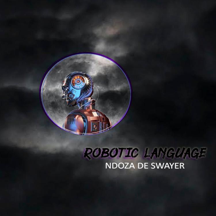 Ndoza De Swayer's avatar image