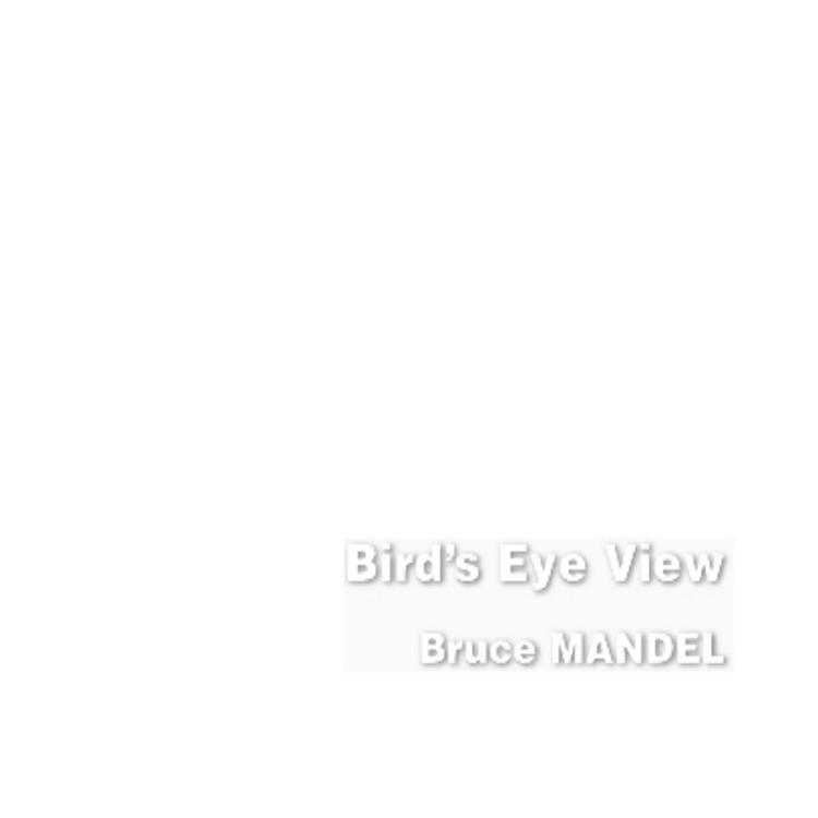 Bruce Mandel's avatar image
