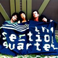 The Section Quartet's avatar cover