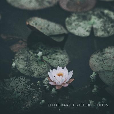 Lotus By Elijah Nang, misc.inc's cover