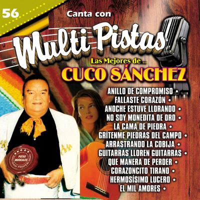 Canta Con Multi Pistas las Mejores de Cuco Sanchez's cover