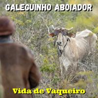 Galeguinho Aboiador's avatar cover