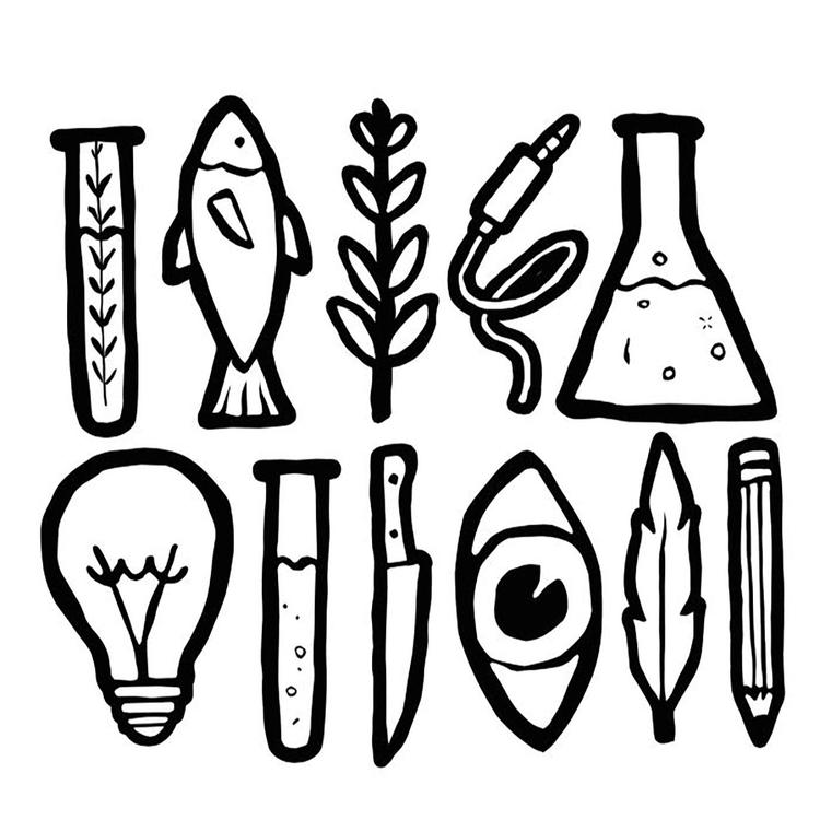 Field Kitchen Academy's avatar image