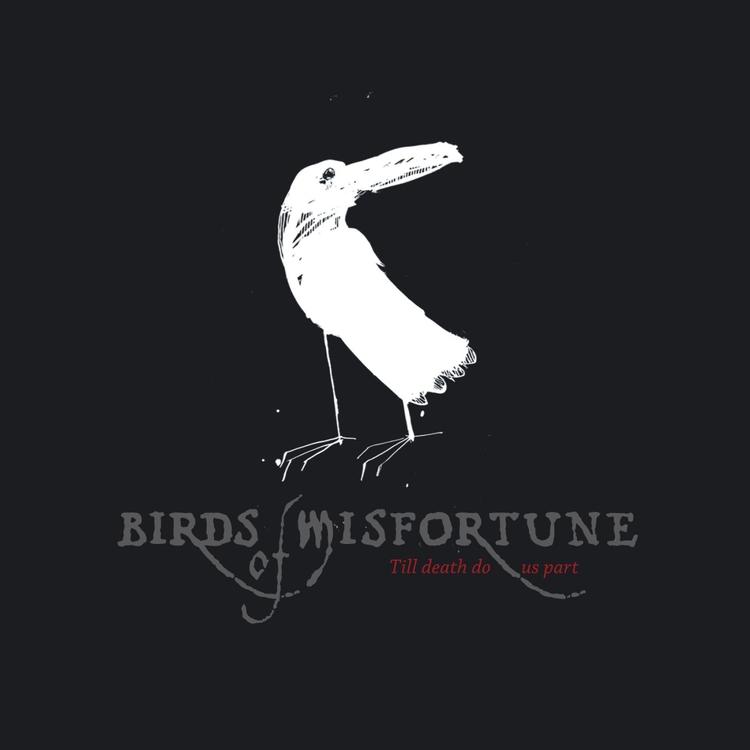 Birds of Misfortune's avatar image