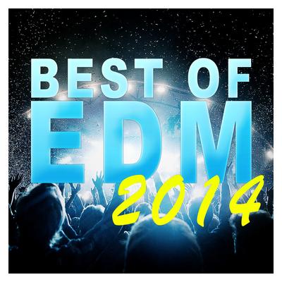 Best Of EDM 2014's cover