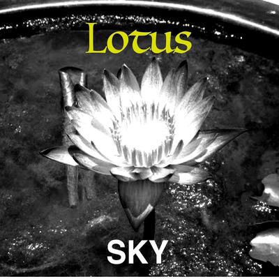 Lotus's cover