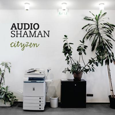 Audio Shaman's cover