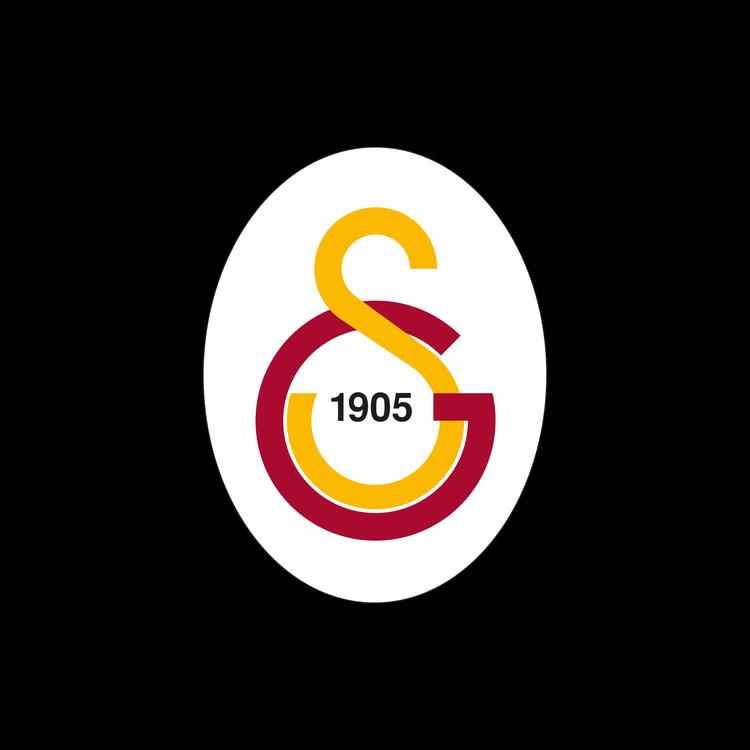 Galatasaray Spor Kulübü's avatar image