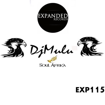 DJ Mulu's cover