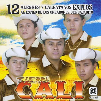 12 Alegres y Calentanos Exitos's cover