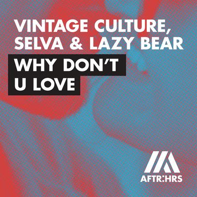 Why Don't U Love By Vintage Culture, Lazy Bear, Selva's cover