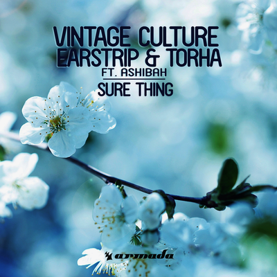 Sure Thing (Radio Edit) By Vintage Culture, Earstrip & Torha, Ashibah's cover