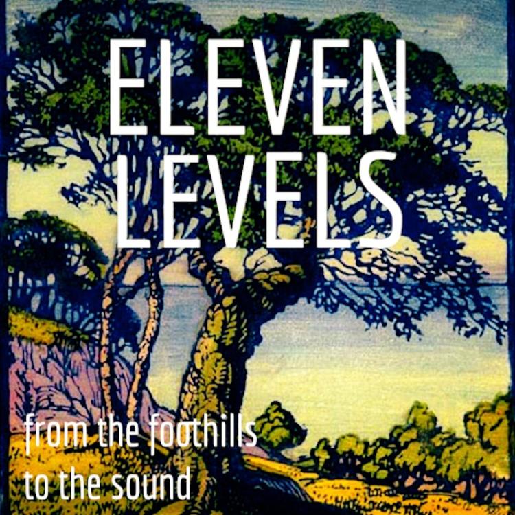 Eleven Levels's avatar image