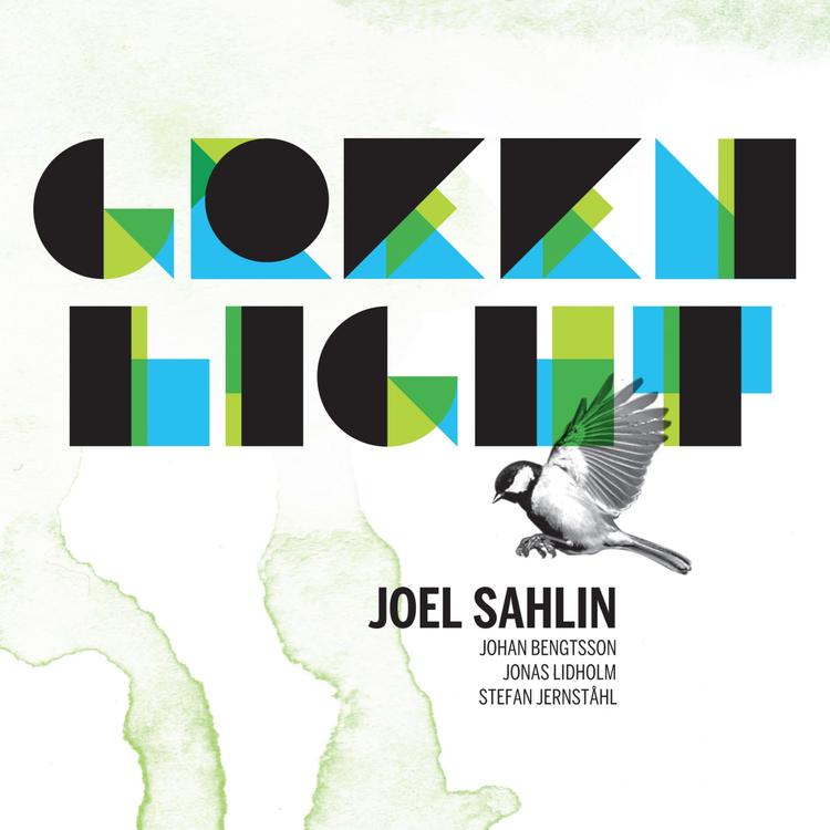 Joel Sahlin's avatar image