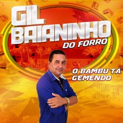 Gil Baianinho do Forró's cover